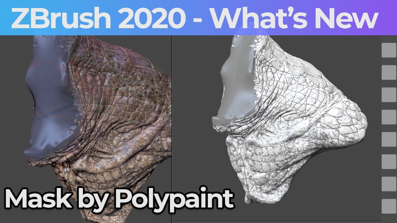 poly paint to mask zbrush