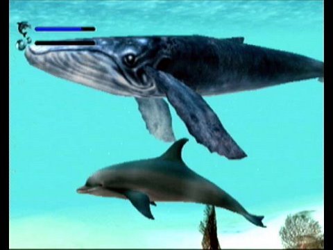 umoral Uluru tak skal du have Vidéotest Ecco the Dolphin ( Dreamcast ) - YouTube