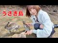 【女ひとり旅】うさぎの楽園？900羽を超えるうさぎが暮らす島に行ってみた【広島県・大久野島】
