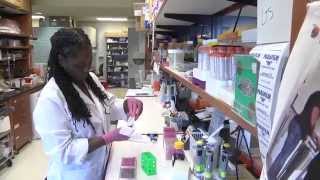 Winship Researchers in the Hunt for New Breast Cancer Therapies
