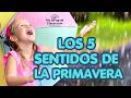 Learn the 5 Senses in Spanish | Los 5 Sentidos de la Primavera for Kids