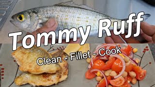 Celebrity Tommy Ruff - Clean - Fillet - Cook Wealth