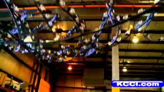 Man admits to holiday lights vandalism, apologizes