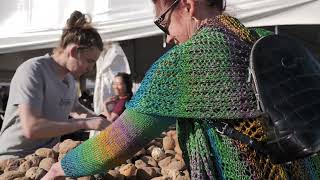 Discovering Natural Carnelian At The Tucson Gem Show
