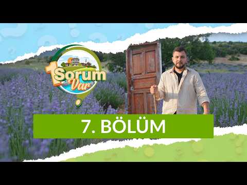 Kırşehir - 1 Sorum Var 7. Bölüm