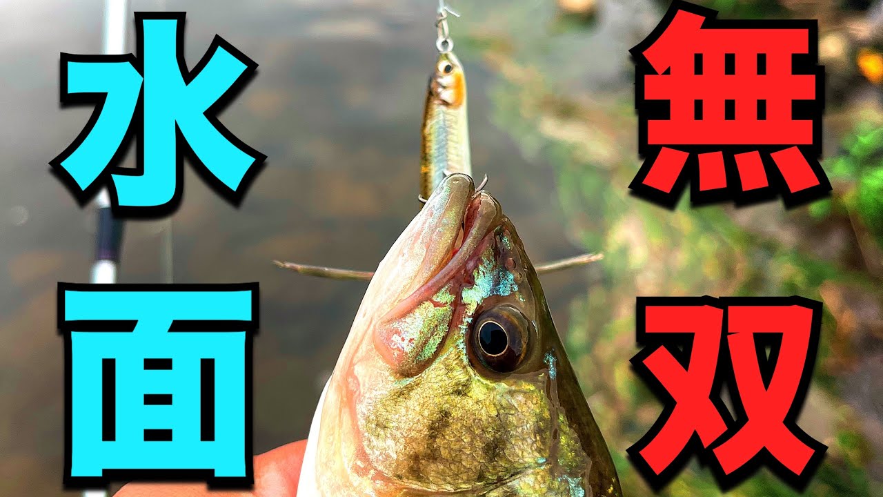 【バス釣り】チビバゼルが圧倒的な理由はコレ！