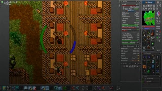 Tibia Live - Banuta ED 170 MS 220
