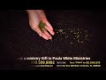 Paula White's Sunday Live Stream 02/15/2026
