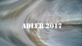 ADLER 2017