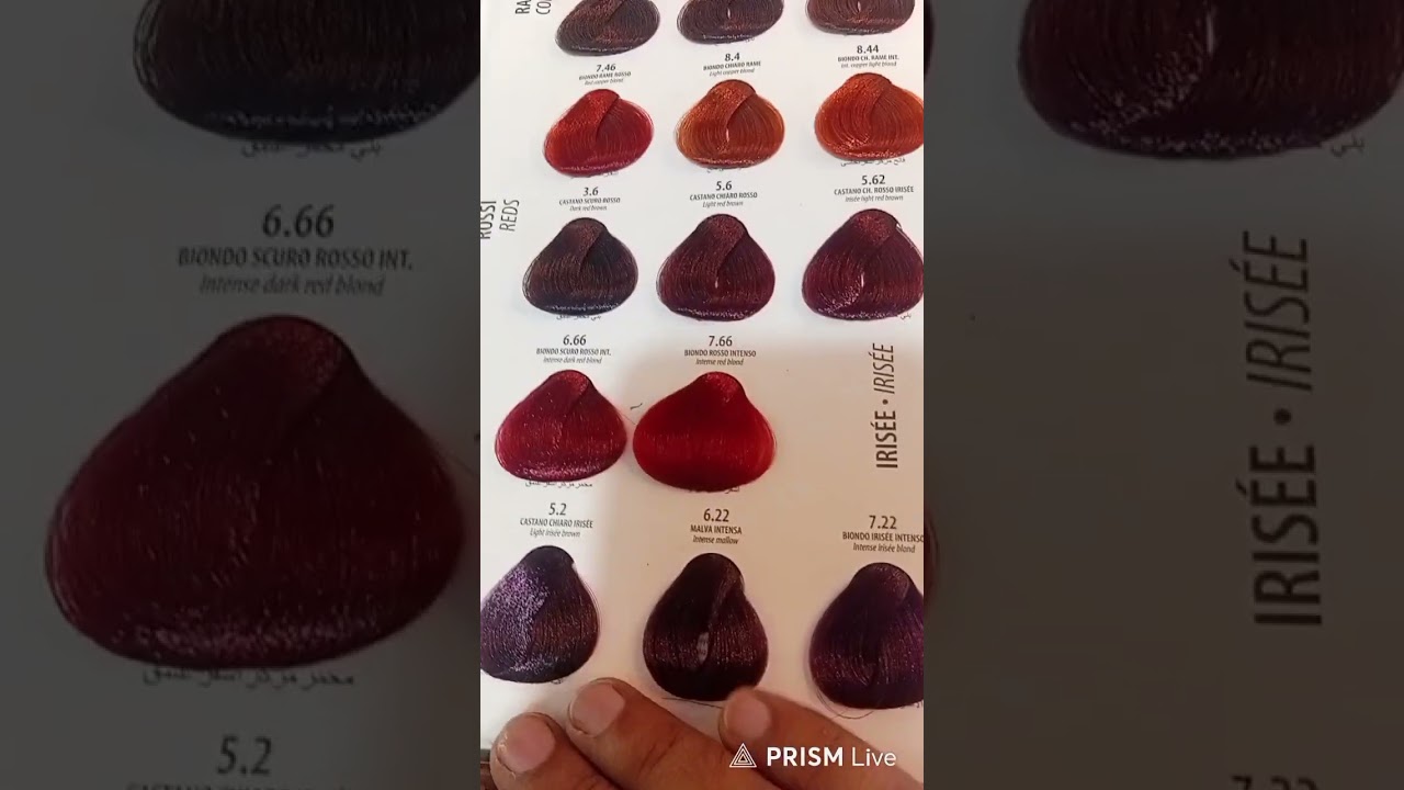 Hair colour Maxima Italian 