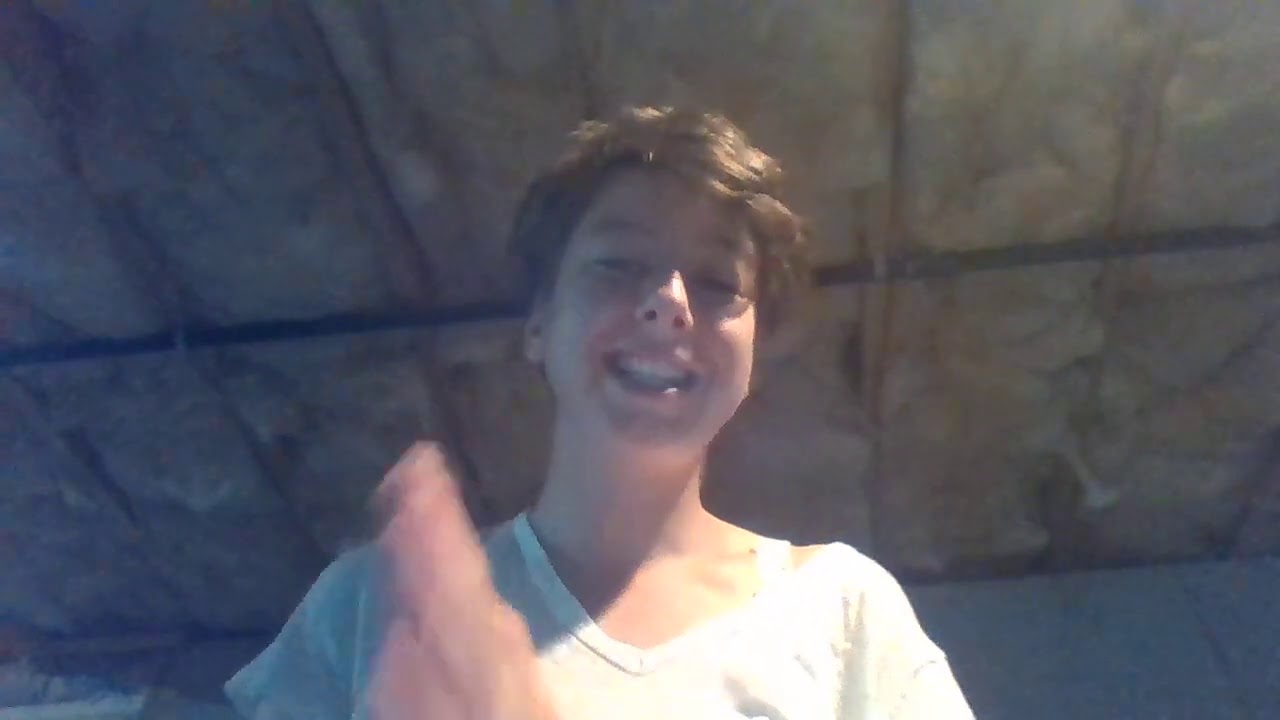 What did the one tree say to the other tree? YouTube