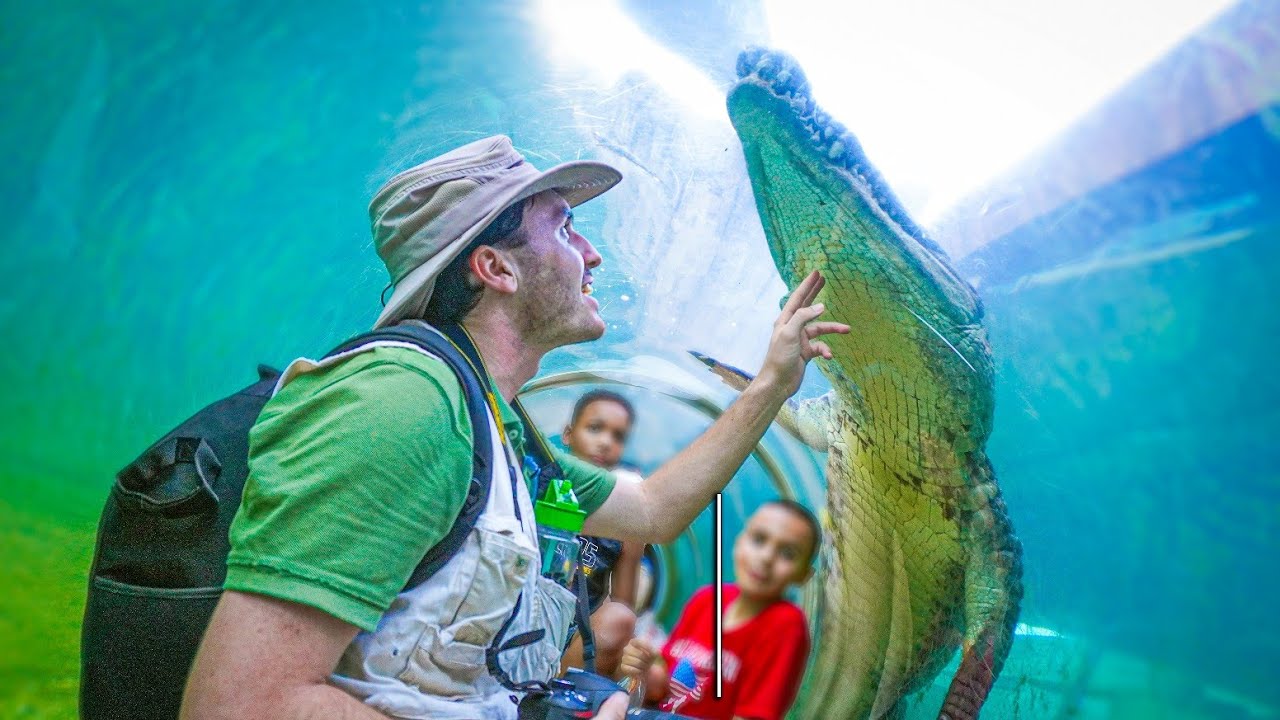 Посмотрите это перед посещением зоопарка Майами