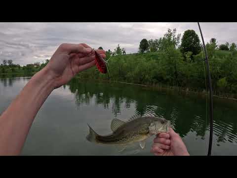 Spring Bass Fishing Northen IL