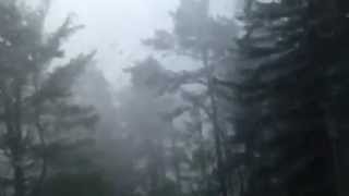 elmira tornado vid