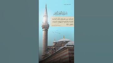 فخلف من بعدهم خلف اضاعو الصلاة ، سورة مريم #اكسبلور #اقنباسات #لايك #المصحف #قرآن #عبارات #تيك_توك