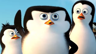 Dreamworks Madagascar Penguins Of Madagascar Official Trailer 3 Kids Movies