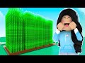Bamboo Only Garden in Grow A Garden! (Roblox Grow A Garden)