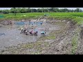 Asian Traditional Fishing Video : Awesome Traditional Fishing Video! Amazing Fish Hunting!