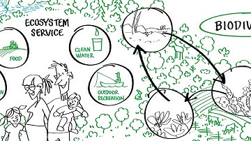 Green infrastructure | Swedish EPA