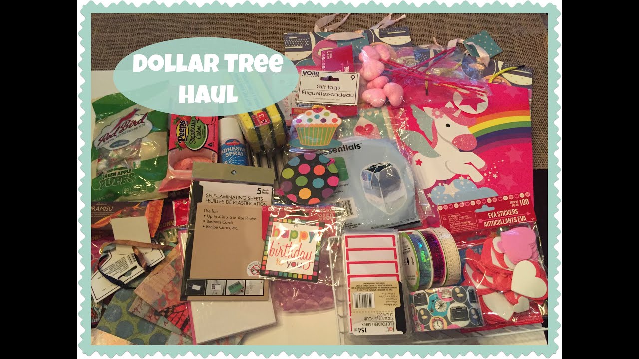 FUN DOLLAR TREE HAUL!! | January 2016