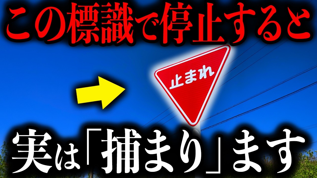 【隠れ違反多発中】途中で規定が変わったものも…ベテランほど"危険"な標識ルールがコレです【ゆっくり解説】