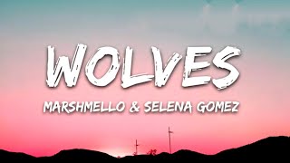 Selena Gomez, Marshmello - Wolves (Lyrics)