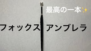 『購入品紹介』ローランドさん愛用フォックスアンブレラ開封