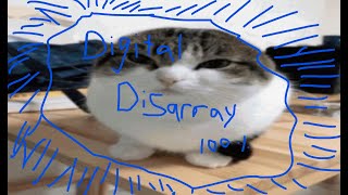 Digital Disarray 100% (Fluke from 56) Wealth