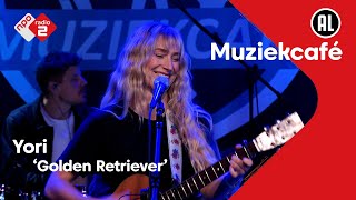 Yori - Golden Retriever | NPO Radio 2