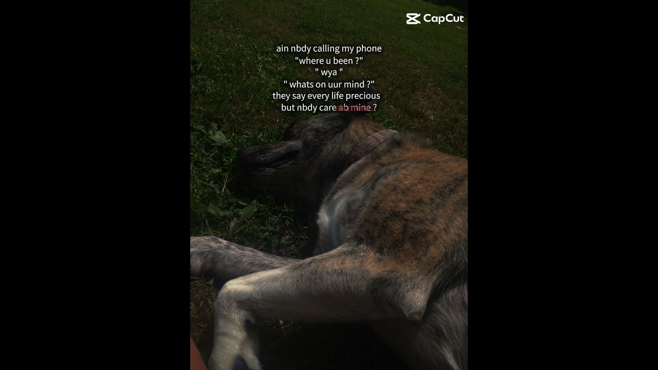 Eh Just A Video Sorry For Not Posting