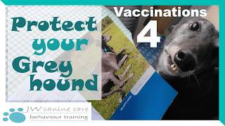 Focus on Vaccinations: Part 4