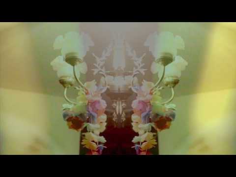 daniel abud - cebra (video oficial)