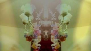 Daniel Abud - Cebra Video Oficial