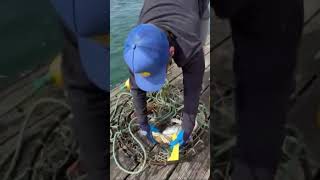 Jetty fishery dock , Dungeness ￼crabbing with a crab ring Oregon coast #crabbing #pnw #oregoncoast