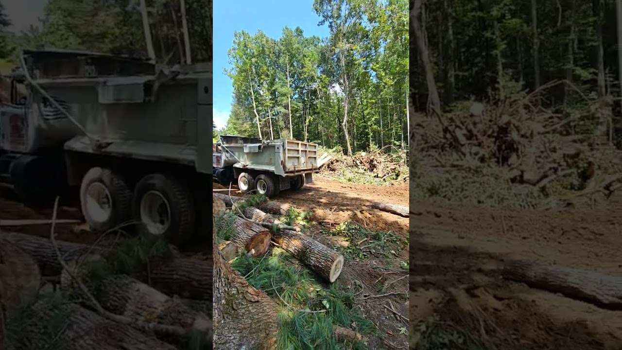 log hauling and land clearing 