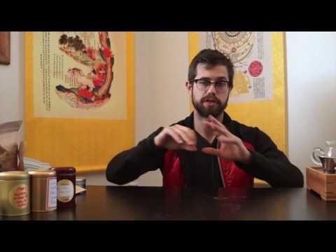 How To Get Over Being The Professional Martyr & Victim | Important Advice for Empaths & HSPs