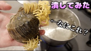 貝から生えてる寄生虫？をブチっと潰したら、、、うわぁぁぁぁ