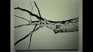 Cameron Martin | Tandem Press Visiting Artist Lecture