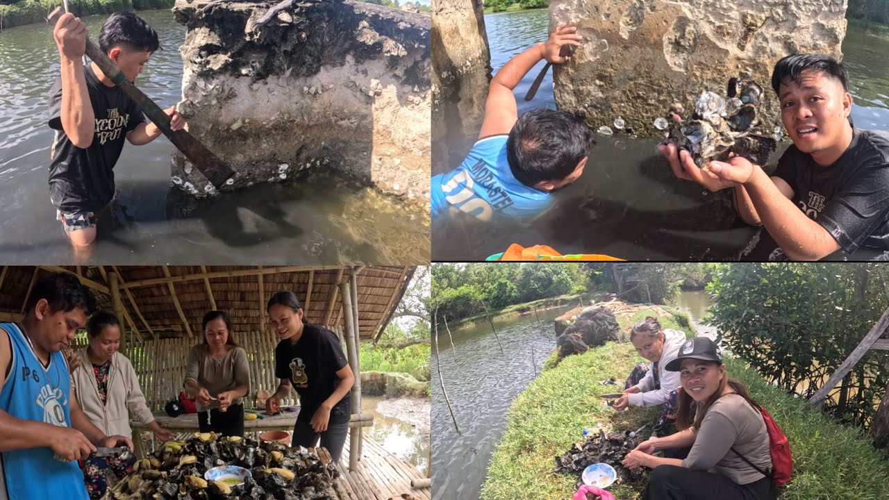 Masayang Pangunguha Nang Talaba Sa Palaisdaan.