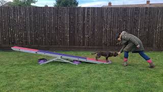 Ignite seesaw using target.