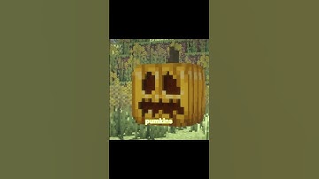 Minecraft mod review #1 Chisels & Bits