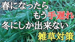 除草剤なし5分で出来る雑草対策春以降に草むしり不要の楽できる庭づくりWeed control