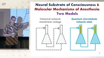 2025 TSC - Barcelona - Plenary 4 -  Anesthesia, Psychedelics and Consciousness