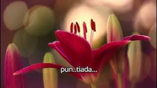 BILA KEMBALI - VIVI SUMANTI   LIRIK