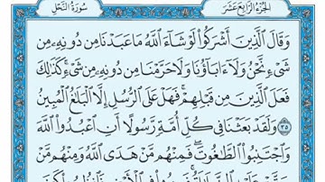 سورة النحل مكتوبة   علي جابر