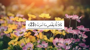 ‎⁨انس العمادي /سورة عبس⁩