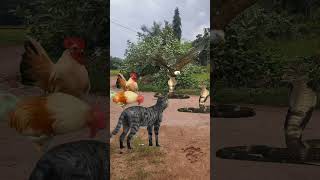 Two Rooster Cat Eagle And Two Snake