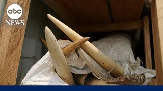 Download Mp3 Last Lands: Cameroon & Gabon Gudang lagu Download Mp3 Last Lands: Cameroon & Gabon