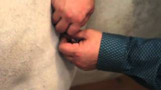 Equine Performance Acupuncture Demonstration by Mark DePaolo, DVM