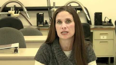 IPC/WHMA-A-620 Certification & Training